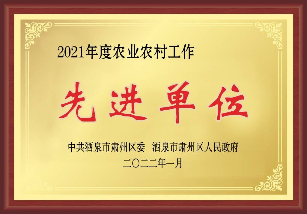 敦煌種業(yè)在肅州區(qū)經(jīng)濟暨農業(yè)農村工作會上獲三項獎
